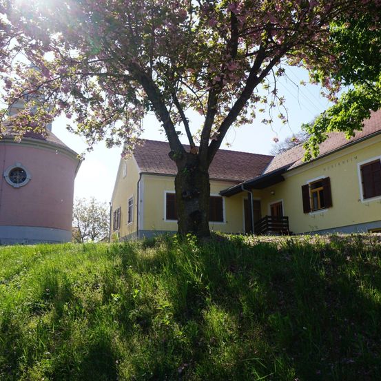 Ein gelbes Haus mit braunem Dach, mehreren Fenstern und einem Baum davor. Ein rosafarbener zylindrischer Bau befindet sich links. Es ist ein sonniger Tag.