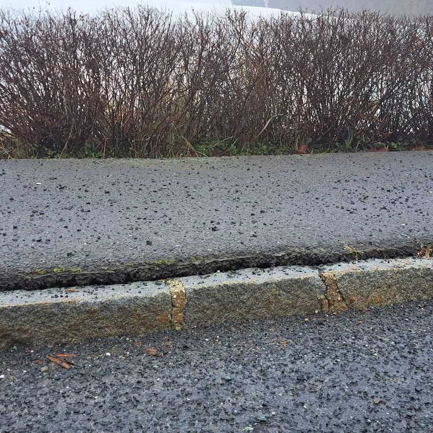 Ein gesplitterter Beton-Gehweg ist zu sehen, mit einer Grenze aus Gras und getrockneten Büschen im Hintergrund.