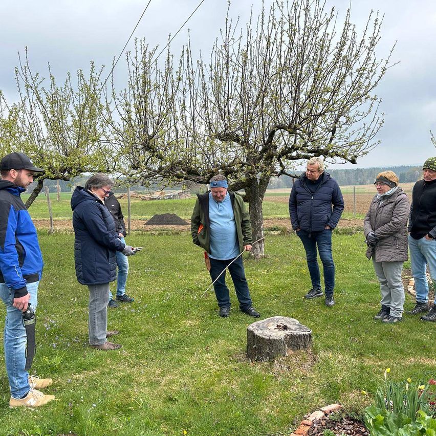 A group of people are standing in a field with trees and a stump, dressed in jackets and gloves. One man holds a stick.