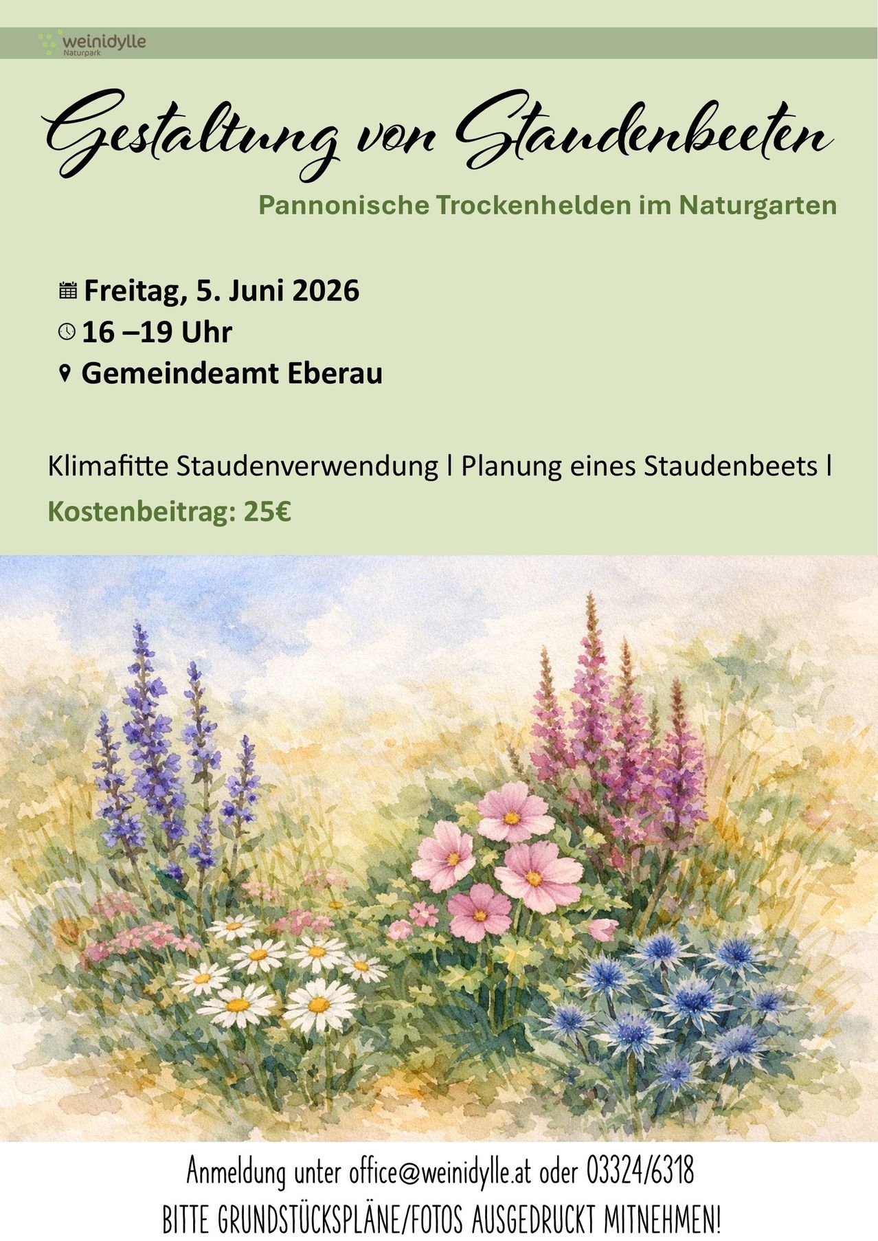 Ein Garten mit verschiedenen Blumen, darunter Gänseblümchen, Kosmeen, Lavendel und mehr. Veranstaltung: Pannonische Trockenhecken im Naturgarten. Datum: Freitag, 5. Juni 2026. Zeit: 16-19 Uhr. Ort: Gemeindeamt Eberau. Gebühr: 25€.