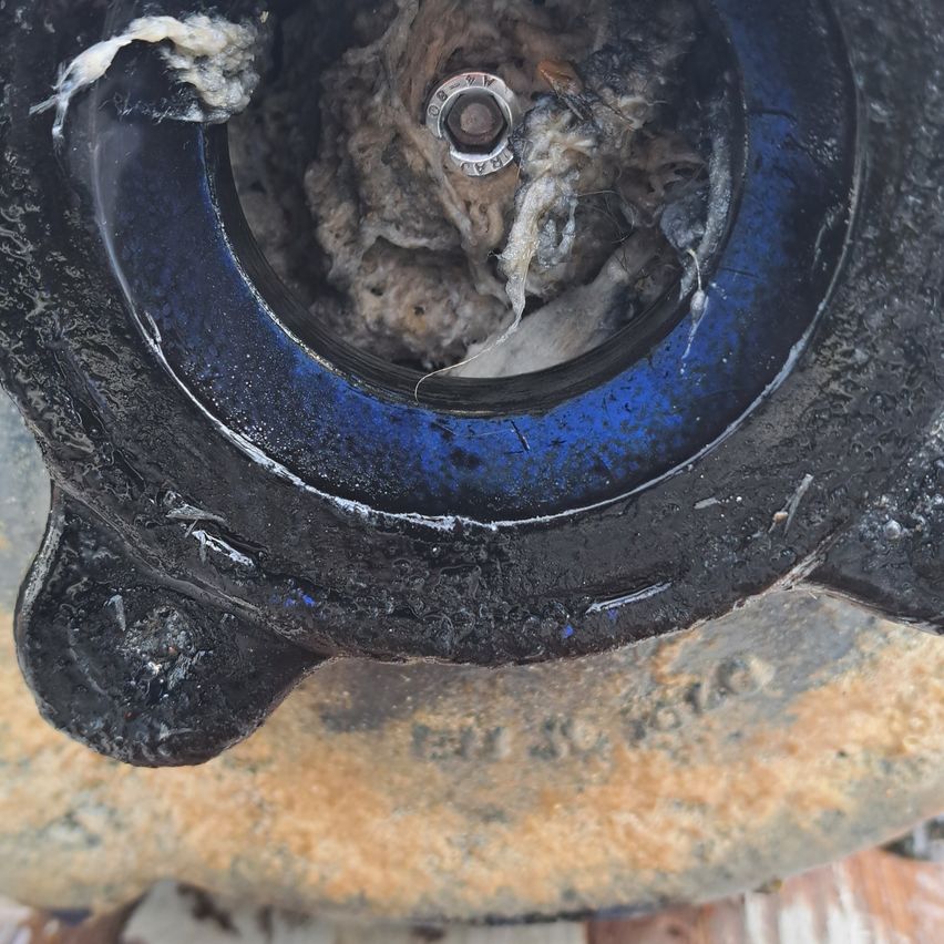 Eine Nahaufnahme eines beschädigten Pumpengehäuses zeigt eine Mischung aus Schmutz und Schmutz im Inneren, mit einer silbernen Schraube in der Mitte. Das Gehäuse ist schwarz mit blauer Umrandung.