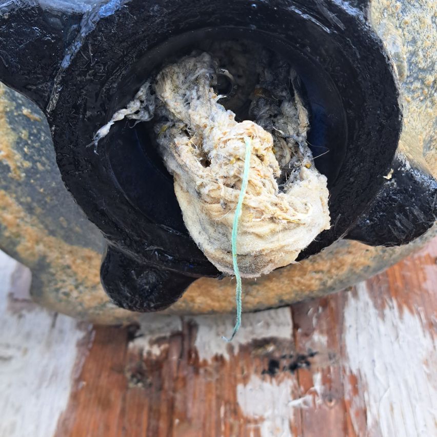 Eine Nahaufnahme eines Siphons zeigt eine Masse aus Haaren und Schmutz, verwickelt in einem blauen Faden, auf einem hölzernen Untergrund.