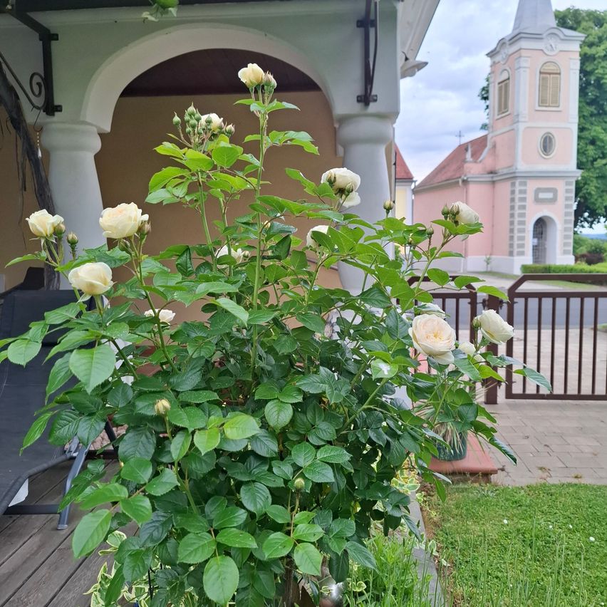 Blick auf Kapelle St. Stephan Wörterberg