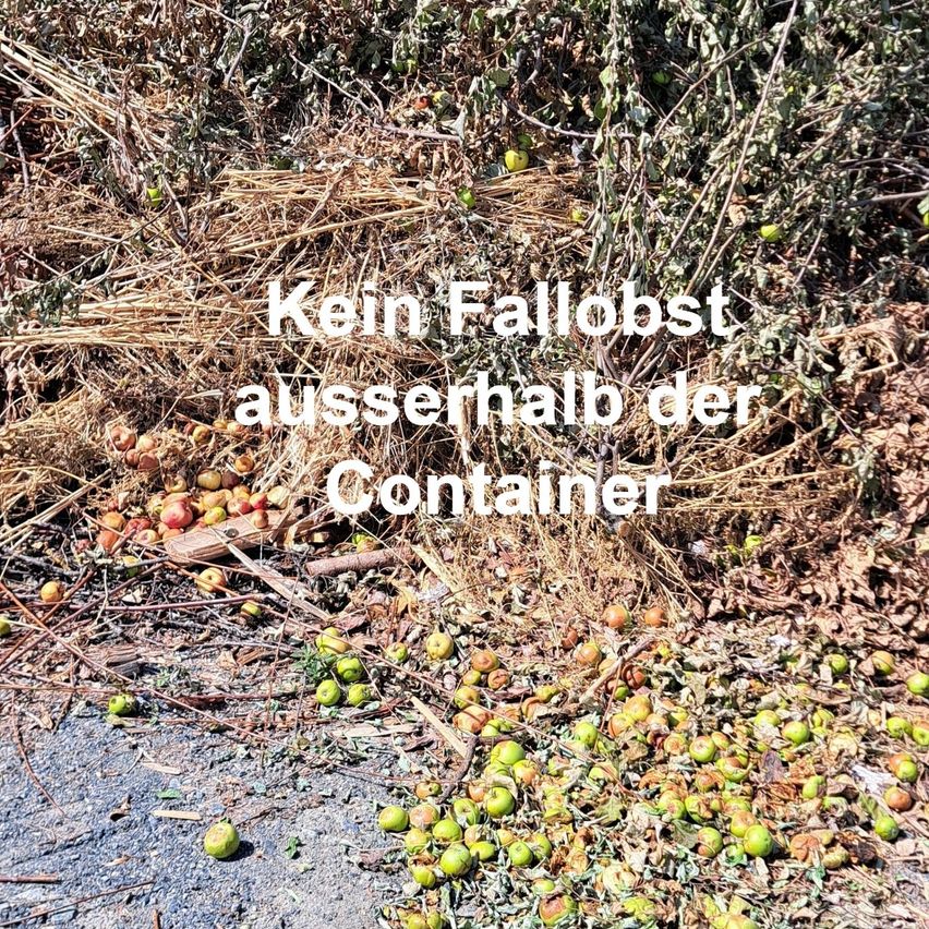 Kein Fallobst außerhalb der Container entsorgen!