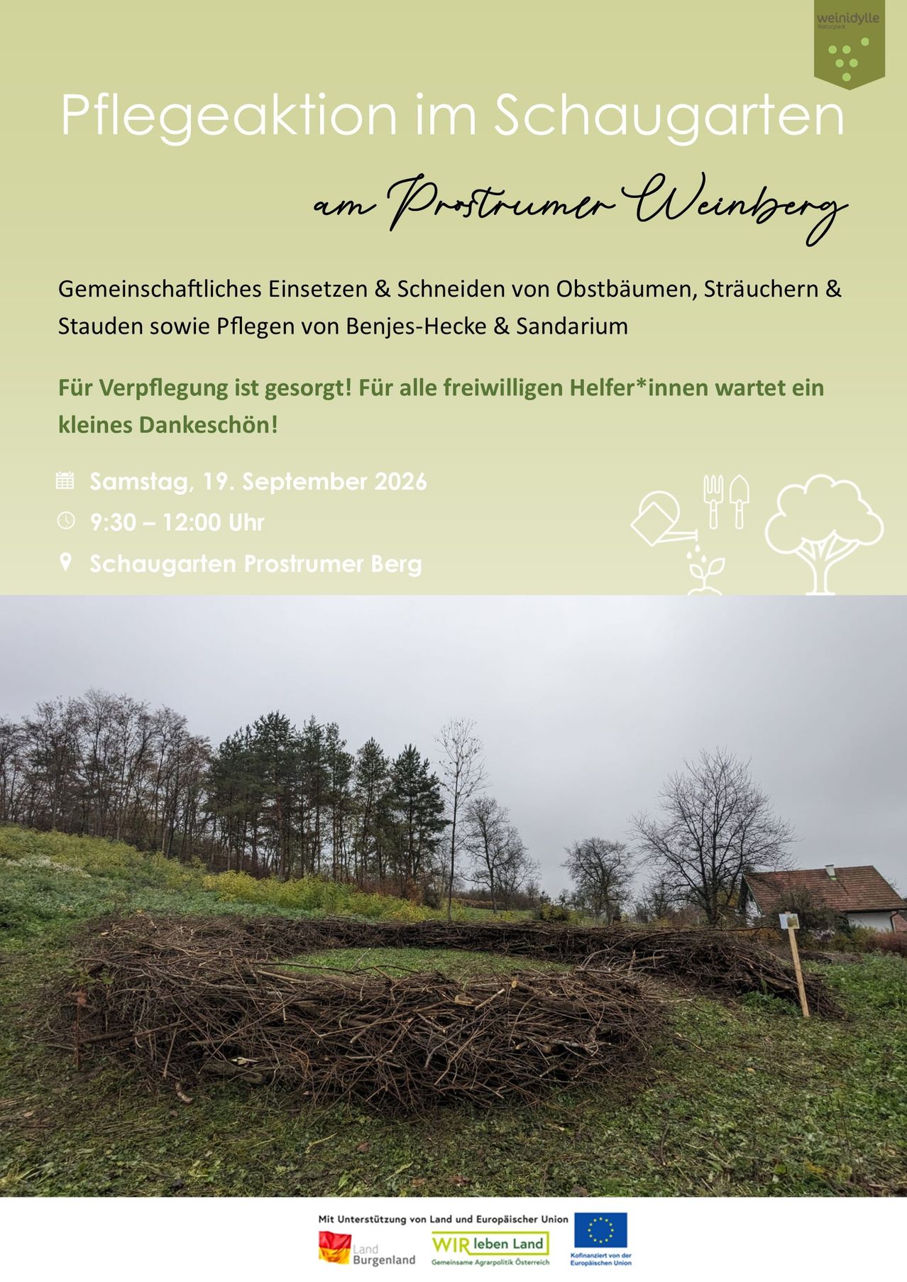 Ein Gemeinschaftseinsatz zum Einsetzen und Schneiden von Obstbäumen, Sträuchern und Stauden sowie zur Pflege von Bänken und Sandkasten. Geplant für Samstag, 19. September 2026, von 9:30 bis 12:00 Uhr im Schaugarten Prostrumer Berg. Für alle freiwilligen Helfer*innen ist Verpflegung vorgesehen.
