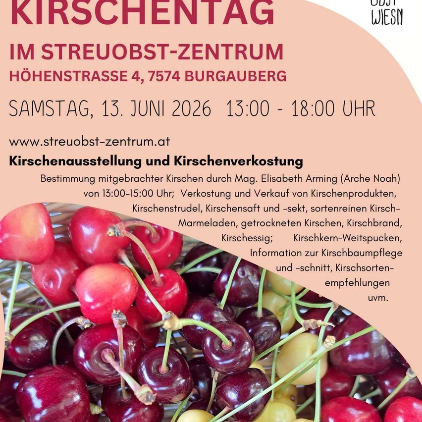 Werbeposter für Kirschentag im Streuobst-Zentrum Hohenstrasse 4, Burgauberg am 13. Juni 2026 von 13:00 bis 18:00 Uhr. Zeigt eine Kirschenausstellung mit verschiedenen Kirschprodukten zum Verkauf.