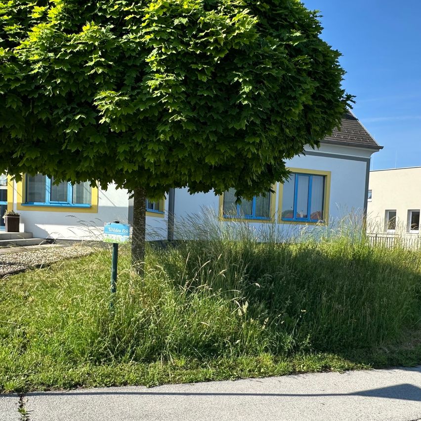 Ein Baum mit einem Schild in der Nähe steht vor einem weißen Haus mit blauen Fenstern und Fensterbänken, unter einem klaren Himmel.