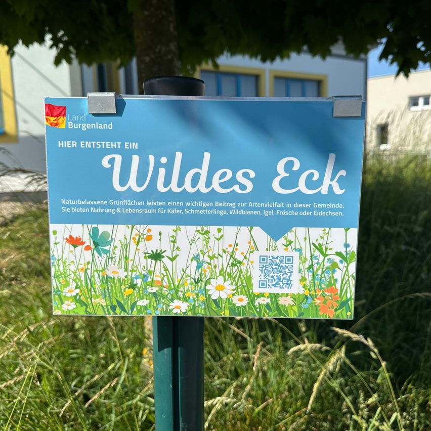 Ein blaues Schild in einem Grasbereich zeigt 'Wildes Eck' und 'Hier entsteht ein' mit Blumen und einem QR-Code. Dahinter ist ein Gebäude mit gelben Fenstern und einem Baum zu sehen.