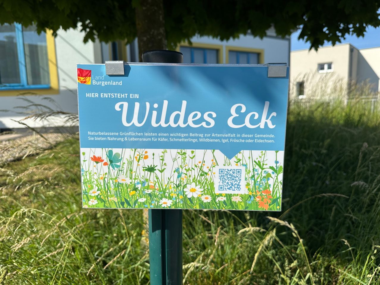 A blue sign in a grassy area displays 'Wildes Eck' and 'Hier entsteht ein' with flowers and a QR code. Behind it, a building with yellow windows and a tree is visible.