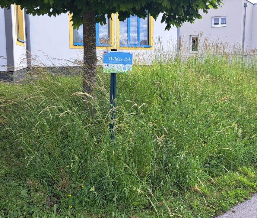 A tall tree with a blue sign reading 'Wildes Eck' stands in a large, unmaintained grassy area in front of a building with yellow window frames.
