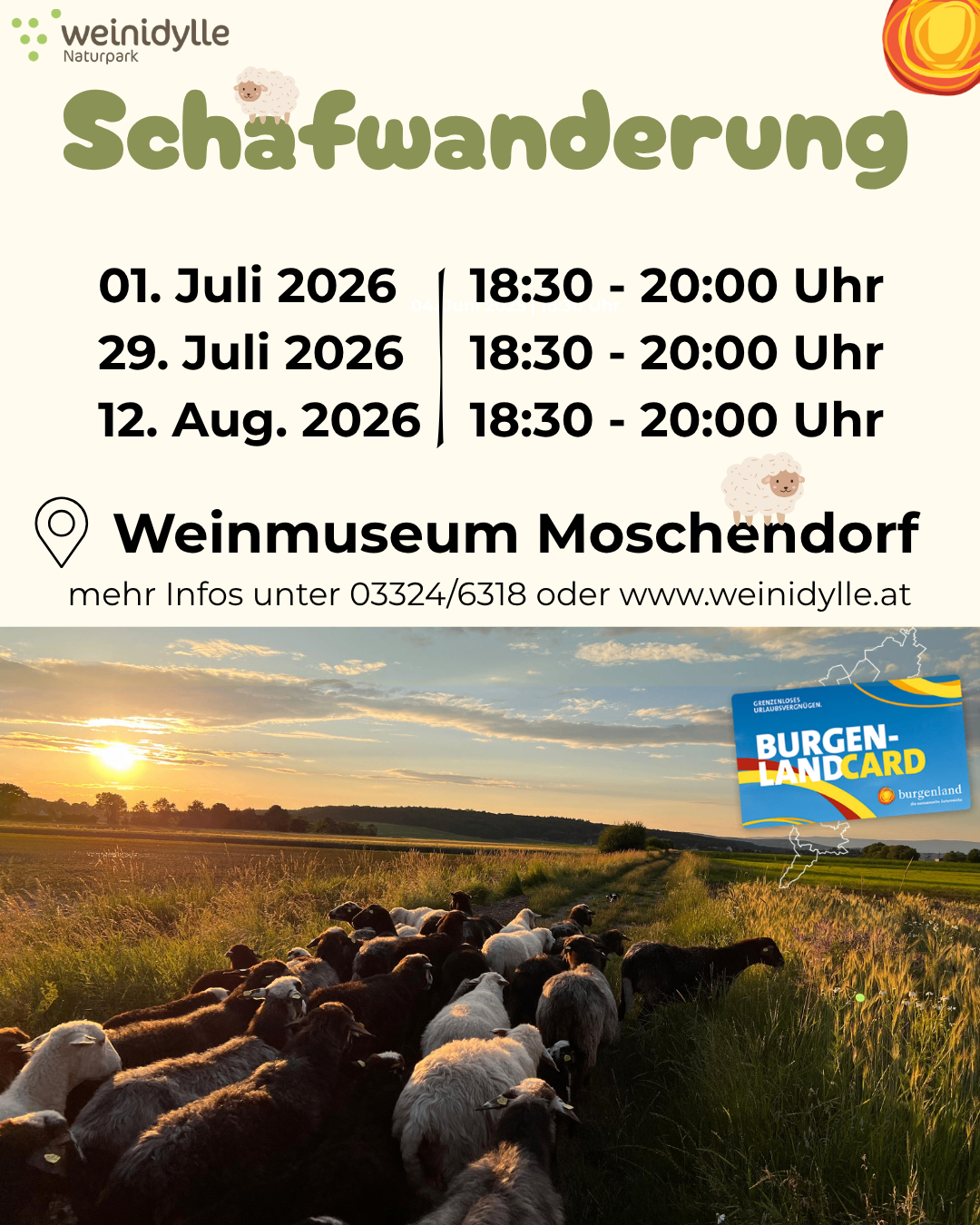 Plakat für Schafwanderung im Weinmuseum Moschendorf am 1. Juli, 29. Juli und 12. August 2026 von 18:30 bis 20:00 Uhr. Mehr Infos unter 03324/6318 oder www.weinidylle.at. Ein Feld von Schafen unter einem Sonnenuntergangshimmel.