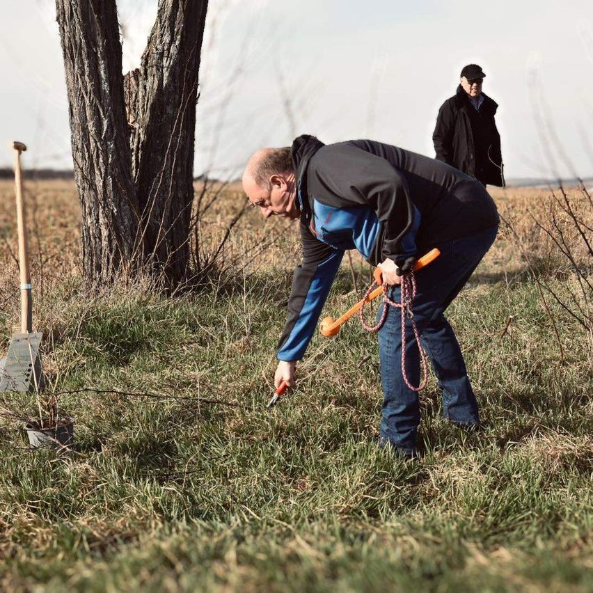 Ein Mann in einer Jacke schneidet einen Strauch mit einer Gartenschere. Ein Spaten steht in der Nähe. Ein weiterer Mann steht hinter ihm. Die Sonne wirft Schatten in einem Feld.