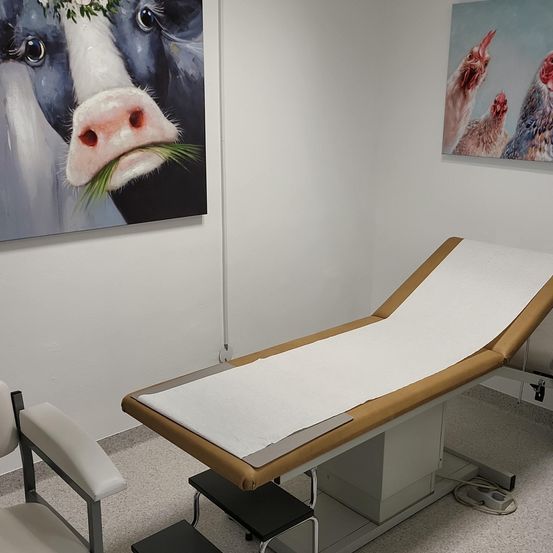 Bild enthält, Clinic, Architecture, Building, Hospital, Operating Theatre, Chicken, Fowl, Poultry, Chair, Furniture