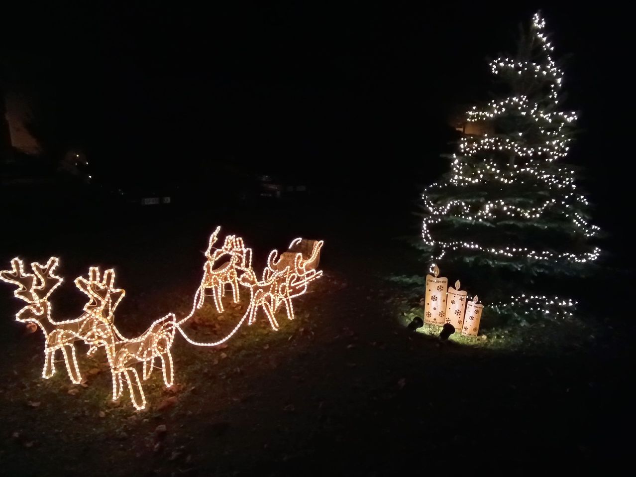 Beleuchtete Weihnachtsdekorationen, darunter Santas Schlitten mit seinen Rentieren, schmücken einen Garten bei Nacht. Daneben erstrahlt ein geschmückter Weihnachtsbaum mit Lichtern.