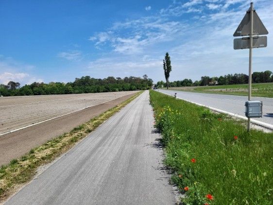 Eine breite, leere Straße mit einem grasbewachsenen Mittelstreifen und Straßenrand, einem Straßenschild und einem Baum am Straßenrand. Die Straße ist von landwirtschaftlichen Flächen, Bäumen und Büschen umgeben. Der Himmel ist klar mit einigen Wolken.
