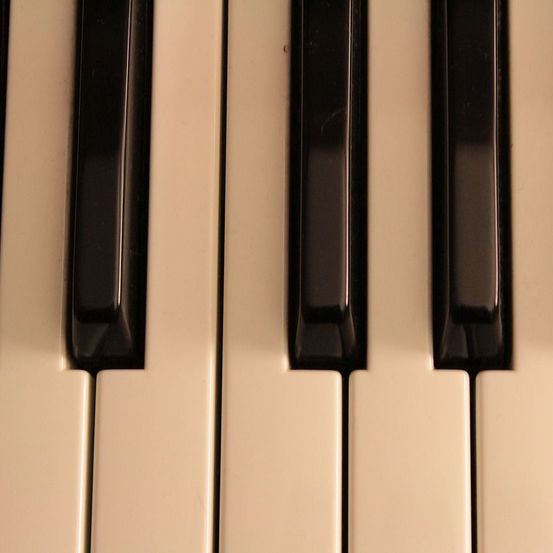 Bild enthält, Keyboard, Musical Instrument, Piano, Grand Piano