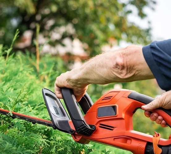 Eine Person verwendet einen orangefarbenen Heckenschneider, um Hecken in einem Garten zu trimmen.
