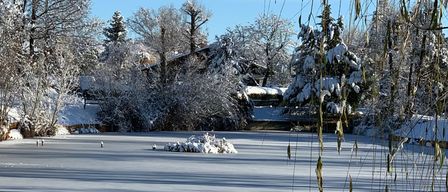 Ein zugefrorener Teich umgeben von schneebedeckten Bäumen und einem klaren blauen Himmel in einer Winterlandschaft.