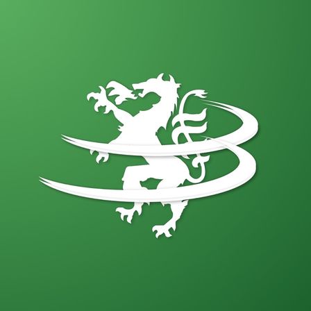 Ein stilisierter weißer Drache auf grünem Hintergrund, mit zwei gebogenen weißen Linien, die eine Spirale um ihn herum bilden.