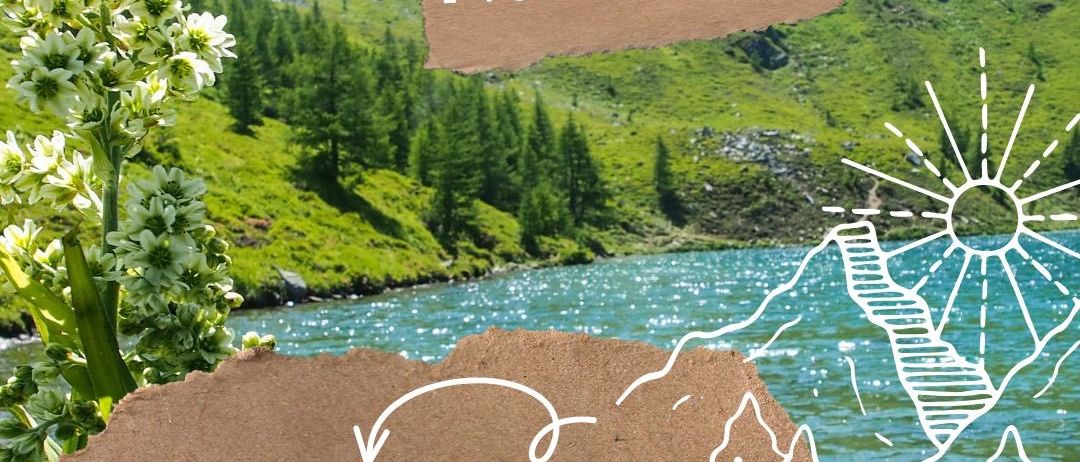 Plakat für die Laussnitzer Hütte, zeigt einen Berg und Fluss, mit den Daten 11-13. Juli 2025 und einer deutschen Phrase 'unser zweites geöffnetes Wochenende!' und einer Frage 'SEHNEN WIR UNS?'.