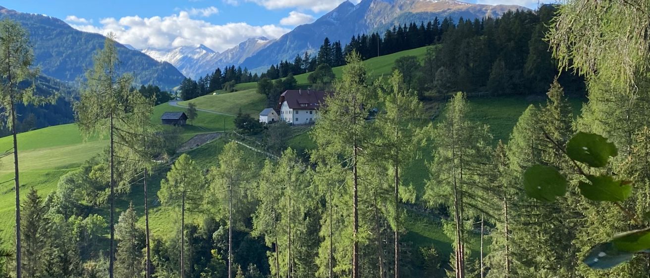 Ein Blick aus einem Wald auf ein Tal mit Häusern und Bergen im Hintergrund unter einem blauen Himmel mit Wolken.