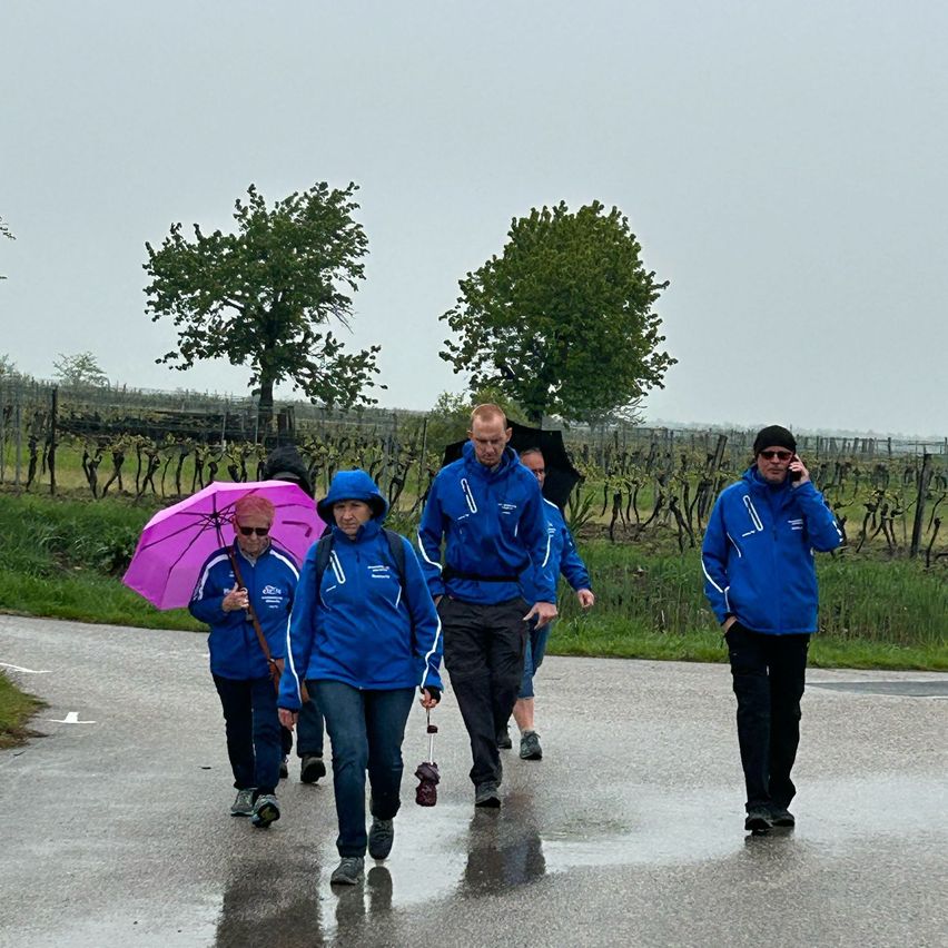 Eine Gruppe von Menschen in blauen Jacken und mit Regenschirmen geht auf einer nassen Straße, umgeben von Bäumen und einem Weinberg.