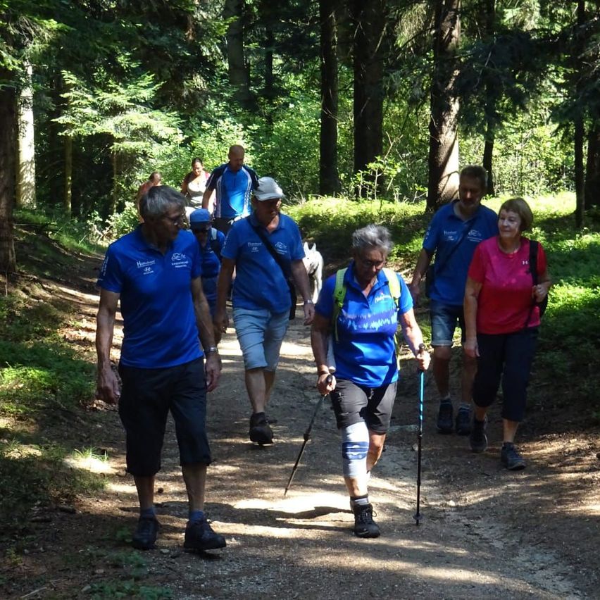 Eine Gruppe von Menschen in blauen Hemden und Shorts wandert mit Wanderstöcken auf einem Pfad. Sie sind von Bäumen und Grün umgeben.