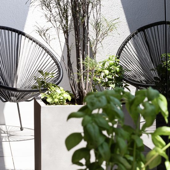 Bild enthält, Plant, Potted Plant, Planter, Pottery, Chair, Interior Design, Balcony, Garden, Nature, Outdoors