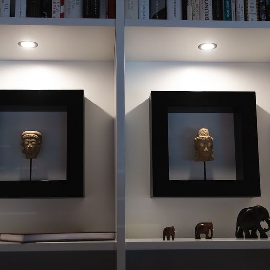 Bild enthält, Shelf, Indoors, Interior Design, Person, Furniture, Elephant, Building, Monitor, Bookcase