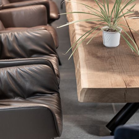 Bild enthält, Furniture, Plant, Chair, Table, Tabletop, Armchair, Indoors