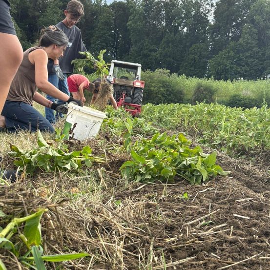 Menschen auf einem Bauernhof, die auf dem Feld arbeiten. Eine Frau kniet und hält einen Eimer, während ein Junge sich beugt und etwas pflügt. Eine weitere Person steht hinter einem Traktor.