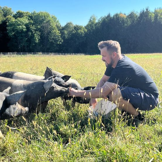 Ein Mann hockt sich in ein saftiges Feld und füttert mehrere Schweine. Er ist von Bäumen umgeben, und der Himmel ist klar und blau.