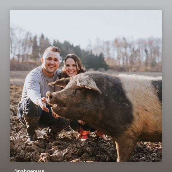 Ein Paar lächelt für ein Foto, während es neben einem Schwein in einem schlammigen Feld kniet, mit Bäumen im Hintergrund.