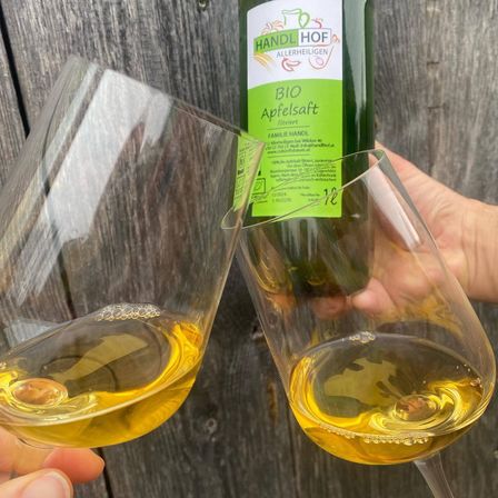 Zwei Hände halten Weinglas mit goldener Flüssigkeit gefüllt, mit einer Flasche Bio Apfelschorle im Hintergrund.
