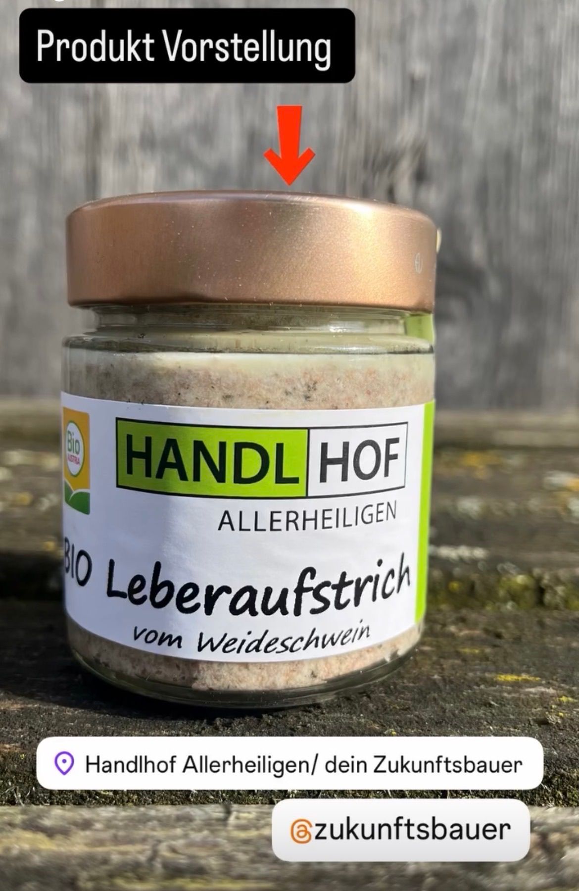 Ein Glas mit braunem Deckel enthält Bio-Leberwurst vom Rind, gekennzeichnet mit 'Handel Hof'.