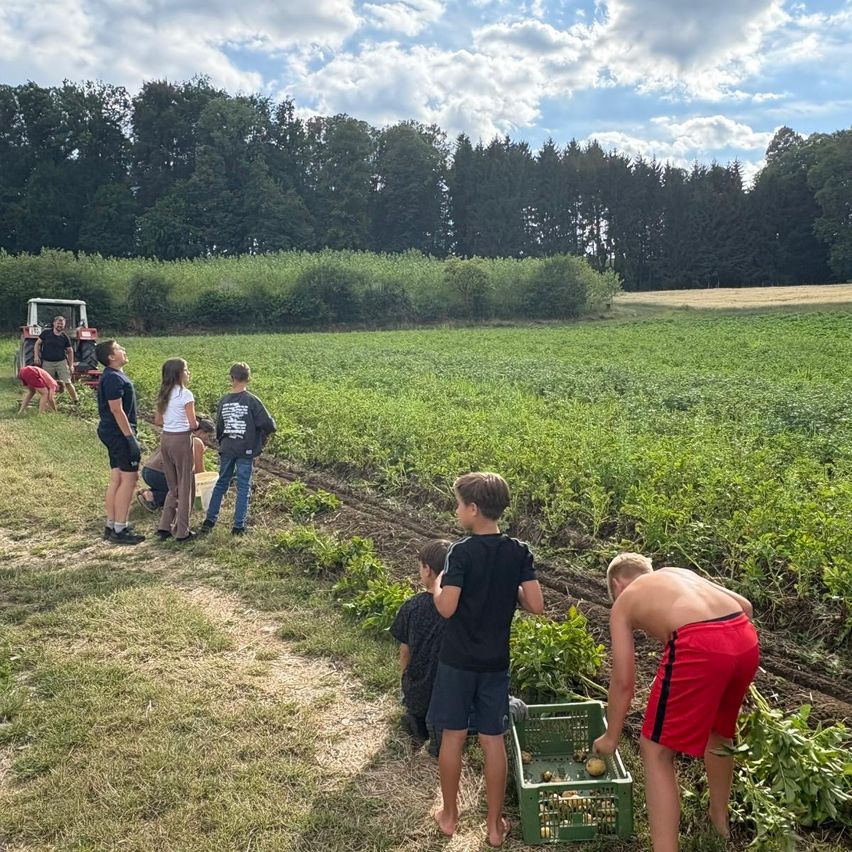 Eine Gruppe von Menschen, die auf einem Feld Ernte einsammeln, mit einer Person, die im Hintergrund einen Traktor fährt.