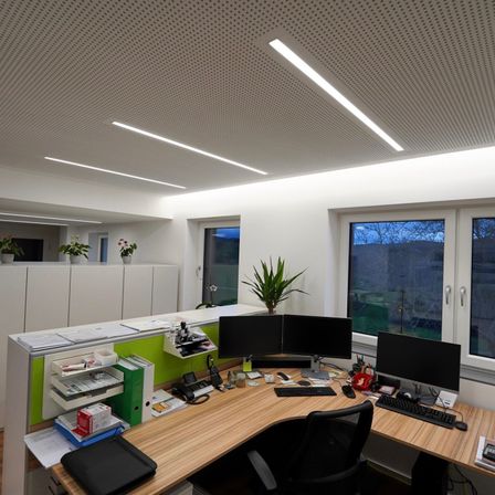 Ein Büroraum mit einem Schreibtisch, der zwei Monitore, eine Tastatur und andere Büroartikel enthält. Auf den Wandschränken stehen Topfpflanzen. Der Raum hat weiße Wände und eine Decke mit Gitterdesign.