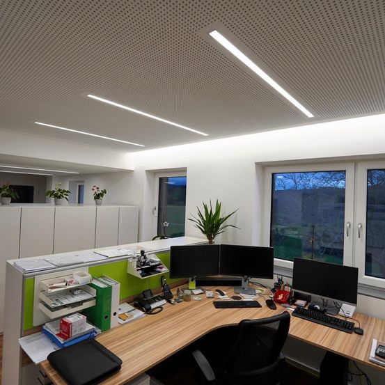 Ein Büroraum mit einem Schreibtisch, der zwei Monitore, eine Tastatur und andere Büroartikel enthält. Auf den Wandschränken stehen Topfpflanzen. Der Raum hat weiße Wände und eine Decke mit Gitterdesign.