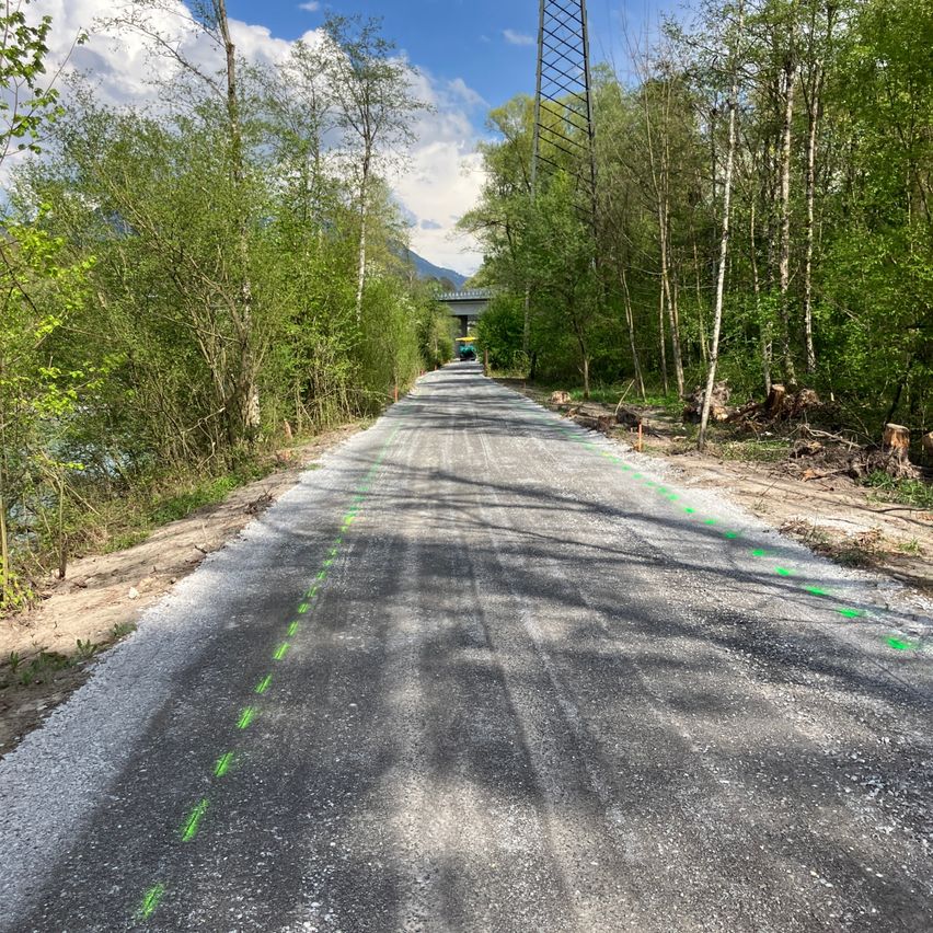 Eine leere Straße, gesäumt von Bäumen mit grünen Markierungen, einer Brücke in der Ferne und einem klaren Himmel.