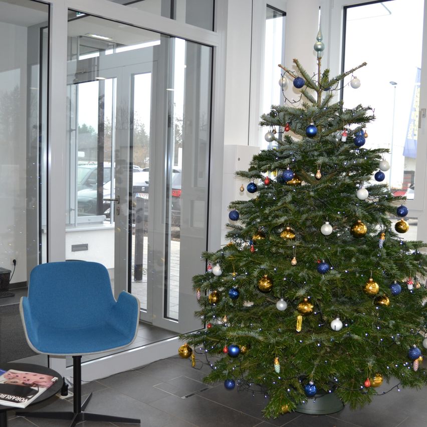Ein geschmückter Weihnachtsbaum steht in einem Eingangsbereich, mit einem blauen Stuhl und einem Tisch mit einer Zeitschrift in der Nähe. Hinter dem Baum befinden sich Glastüren, die zu einem Parkplatz mit geparkten Autos führen.