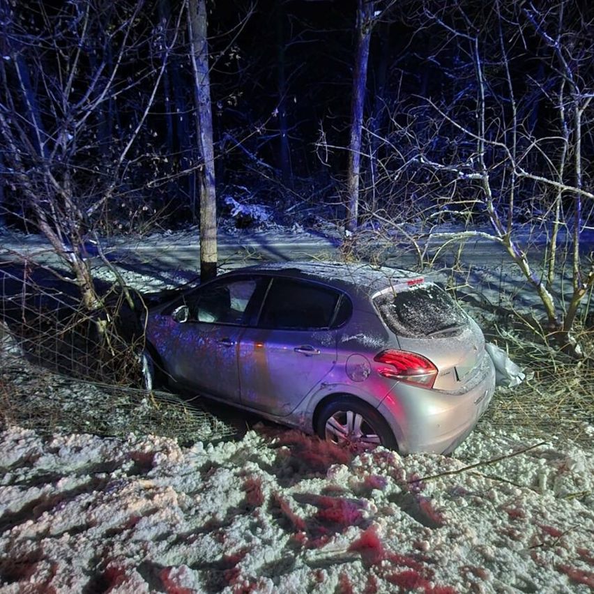 Ein silberner Wagen ist in einen Baum und Büsche gekracht und mit Schnee bedeckt, in einem verschneiten, dunklen, bewaldeten Gebiet.