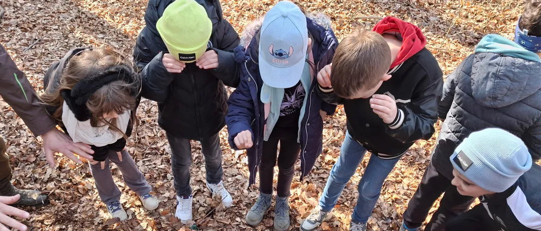 Eine Gruppe von Kindern in einem Wald, die sich um einen Stein auf einem grünen Tuch versammelt haben und ihn genau betrachten. Jedes Kind trägt Winterkleidung.