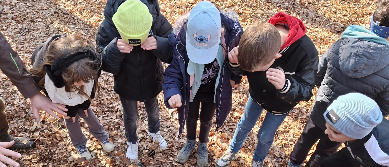 Eine Gruppe von Kindern in einem Wald, die sich um einen Stein auf einem grünen Tuch versammelt haben und ihn genau betrachten. Jedes Kind trägt Winterkleidung.