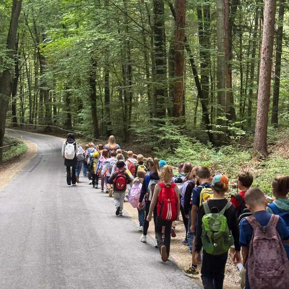 Eine Gruppe von Kindern geht einen Pfad im Wald entlang, trägt Rucksäcke und Turnschuhe.