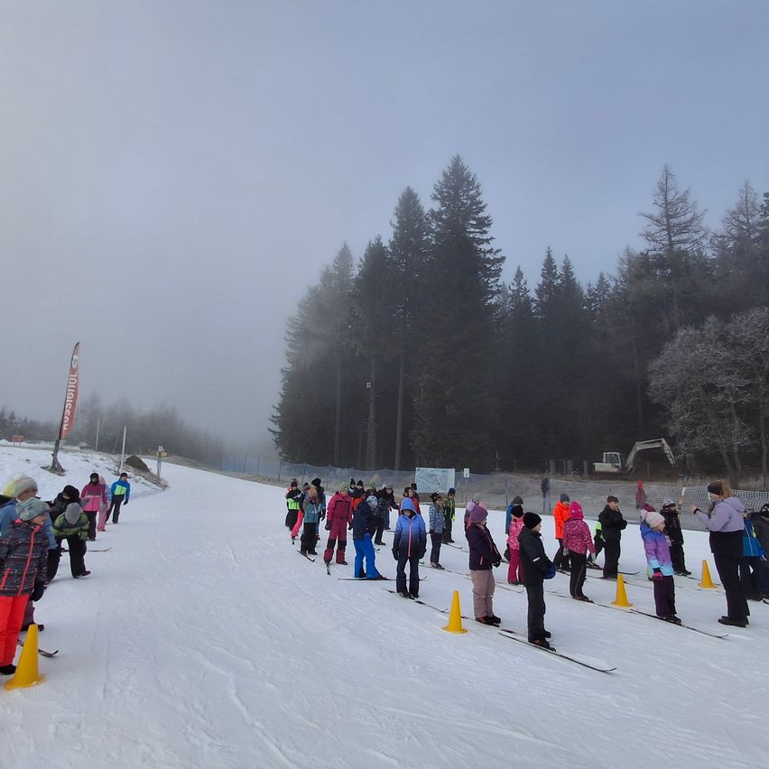 Eine Gruppe von Menschen in Skiausrüstung steht auf einem verschneiten Hang, an dem orangefarbene Kegel aufgestellt sind, mit Tannenbäumen und einem nebligen Himmel im Hintergrund.