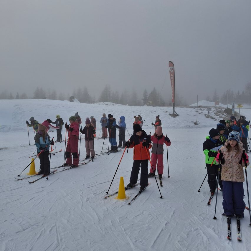 Eine Gruppe von Kindern in Winterkleidung lernt auf einem verschneiten Hang Skifahren, in der Nähe mehrerer Erwachsener und eines Lehrers.