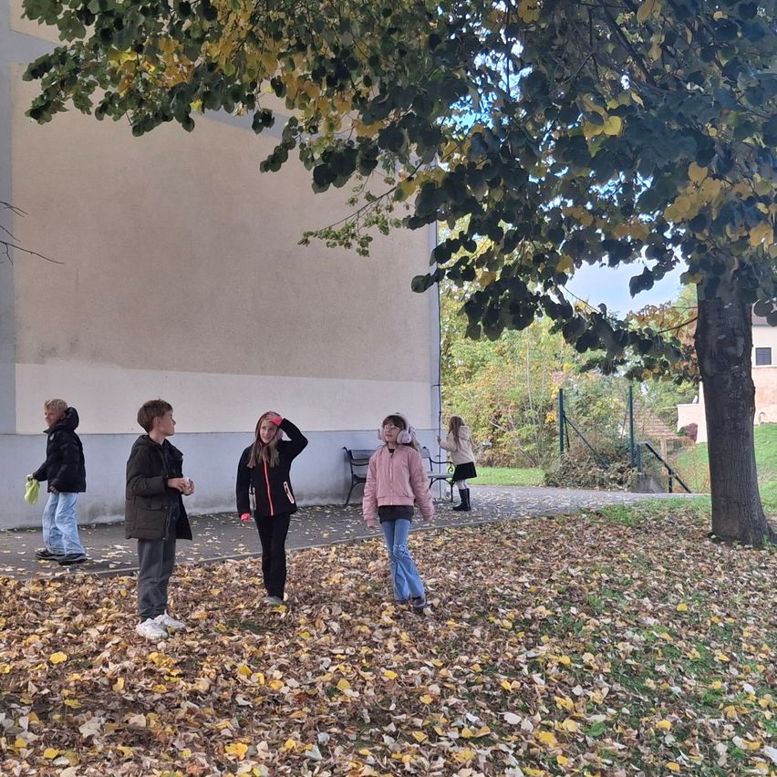 Fünf Personen stehen draußen in der Nähe eines Baumes mit bunten Blättern. Eine Person trägt Kopfhörer und hält einen Becher. Eine weitere Person steht auf dem Gras. Ein Gebäude und Treppen sind hinter ihnen.