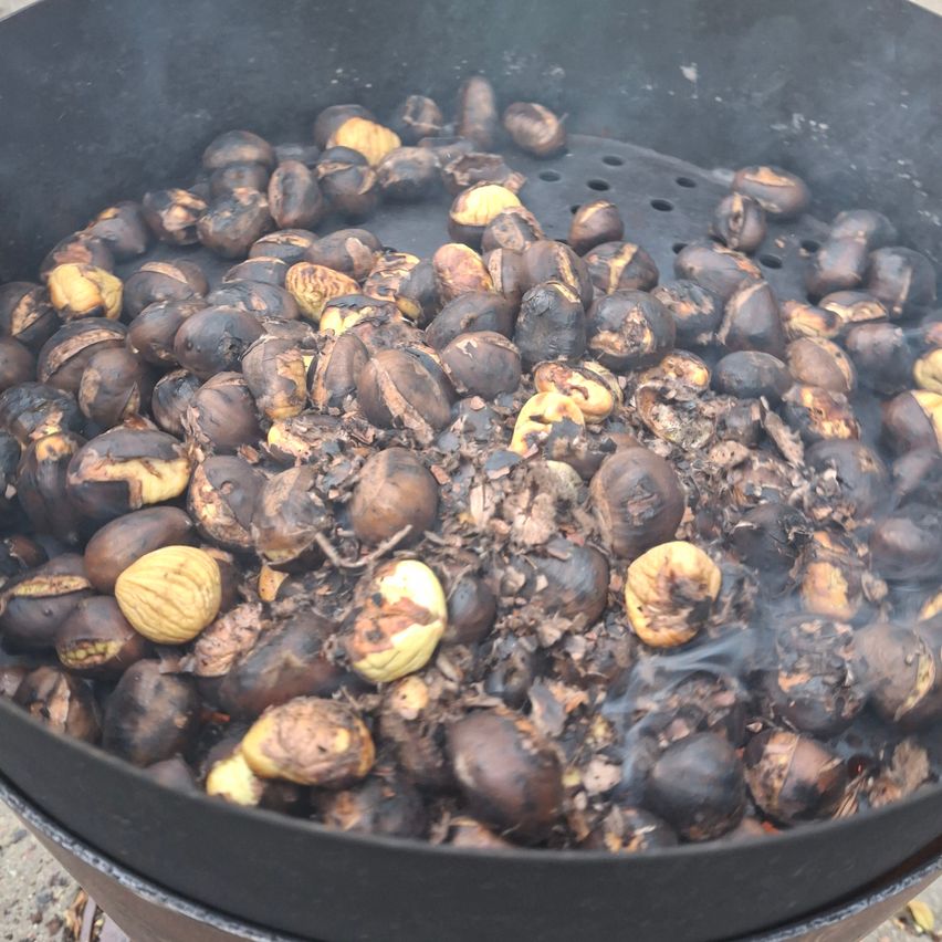 Ein schwarzer Topf gefüllt mit gerösteten Kastanien, einige sind verbrannt und andere haben ihre Schalen entfernt. Der Topf steht auf einem Grill mit Rauch, der herauskommt.