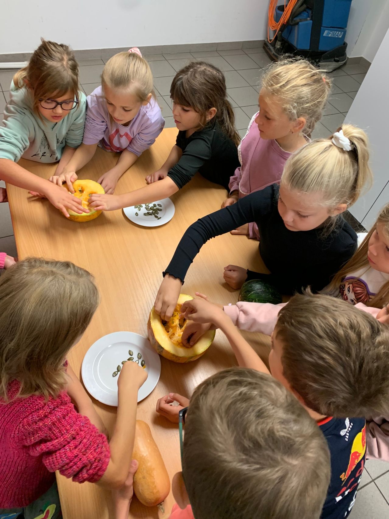Eine Gruppe von Kindern ist um einen Tisch versammelt, jedes hält ein Stück Kürbis und pflückt Samen.