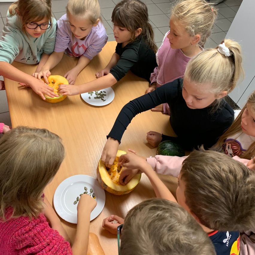 Eine Gruppe von Kindern ist um einen Tisch versammelt, jedes hält ein Stück Kürbis und pflückt Samen.